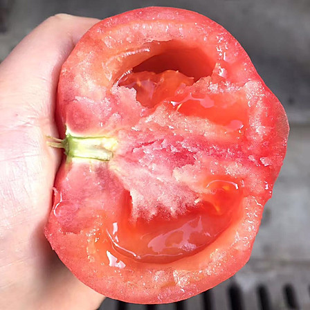 歸田居 丨 普羅旺斯水果西紅柿 4.5斤